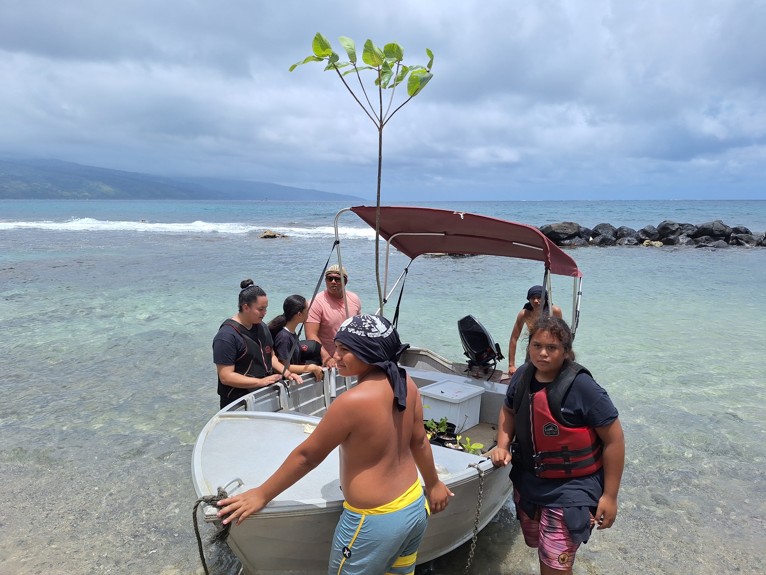 L’acheminement des plantes par bateau n’a pas été de tout repos (Crédit : Anne-Charlotte Lehartel).