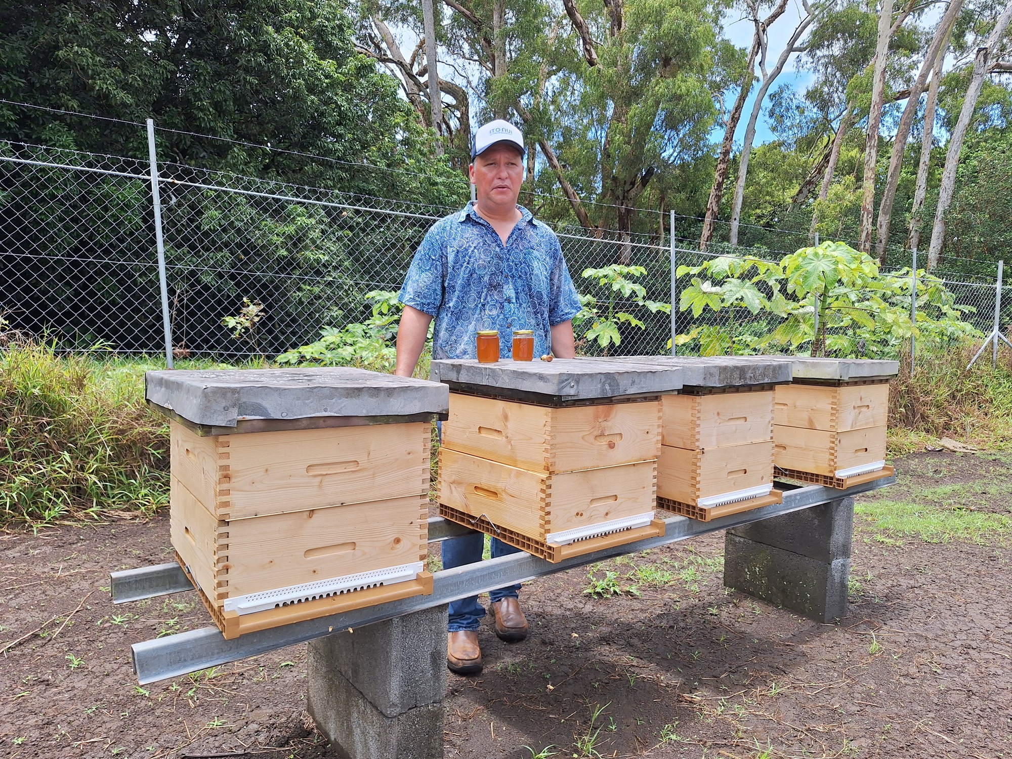 Tanoa Buillard, aussi à l’aise avec les branchements électriques que les abeilles.