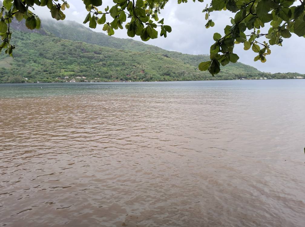 Une pollution terrigène dans la baie de Paopao “directement reliée aux terrassements ” du chantier du Domaine Faratea de l’entreprise Kern Pacific “bien connue” des services de la commune à cause des “différents signalements de pollution” effectués par la police municipale et transmis aux services du Pays. © Louis Olanda