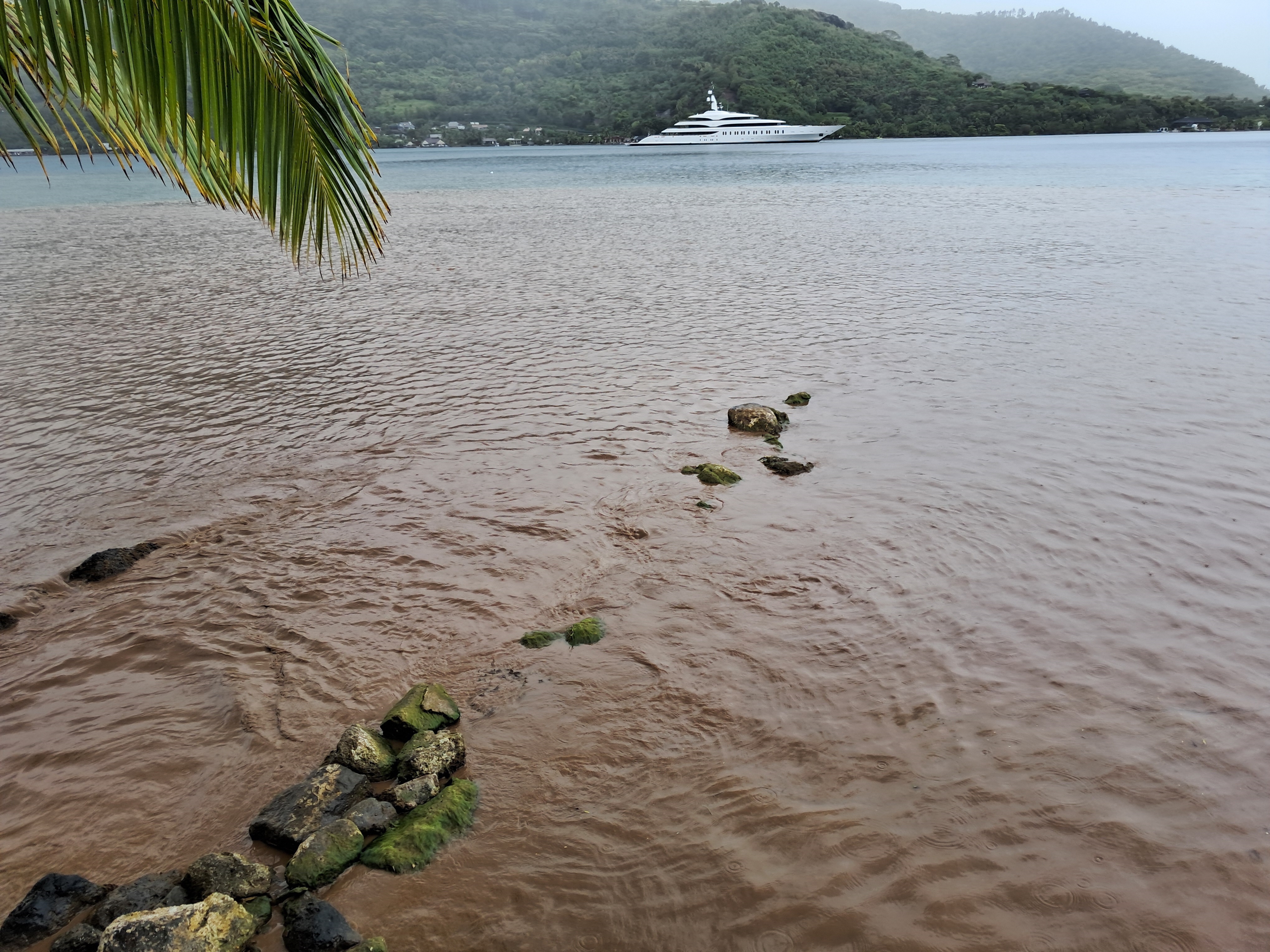 “La nature est violée, salie”