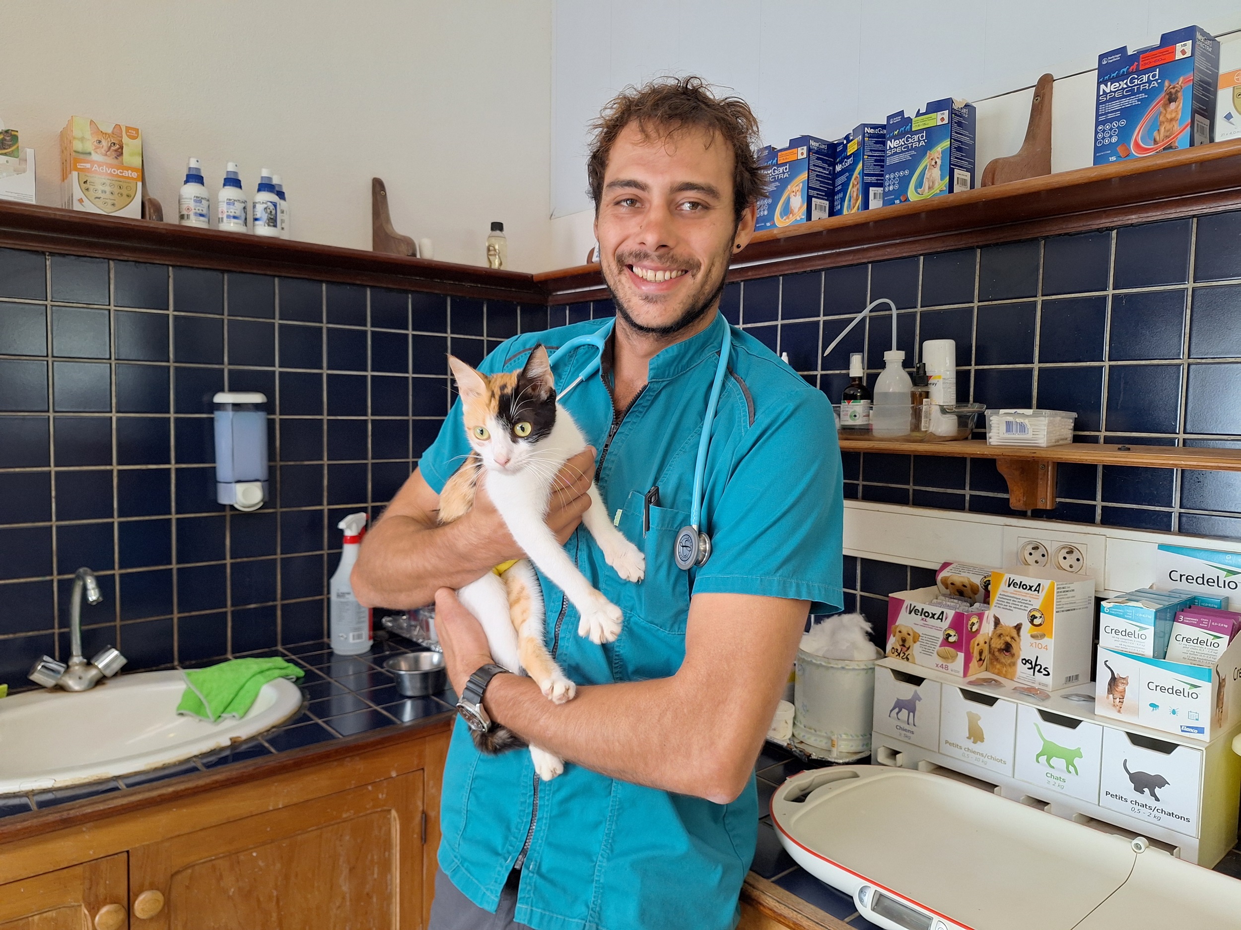 Vétérinaire remplaçant et itinérant, Lorenzo Manis intervient régulièrement dans les îles.