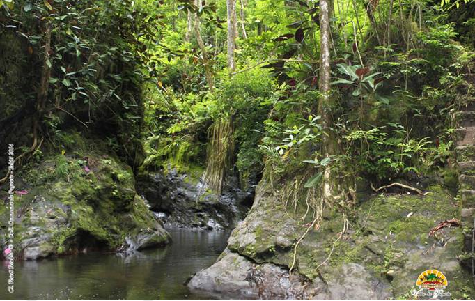 Réouverture de la Vallée de la Fautaua