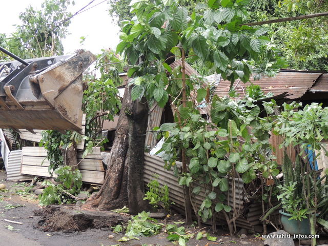 Chutes d'arbres à Papeete, une maison détruite à Taunoa (Diaporama)