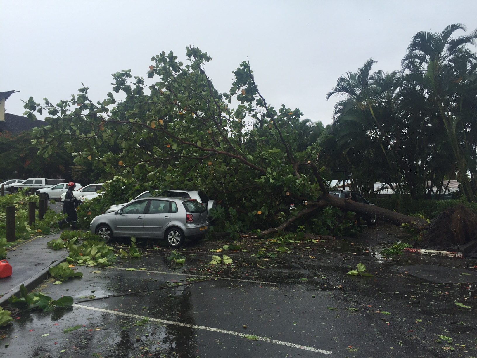 Chutes d'arbres à Papeete, une maison détruite à Taunoa (Diaporama)