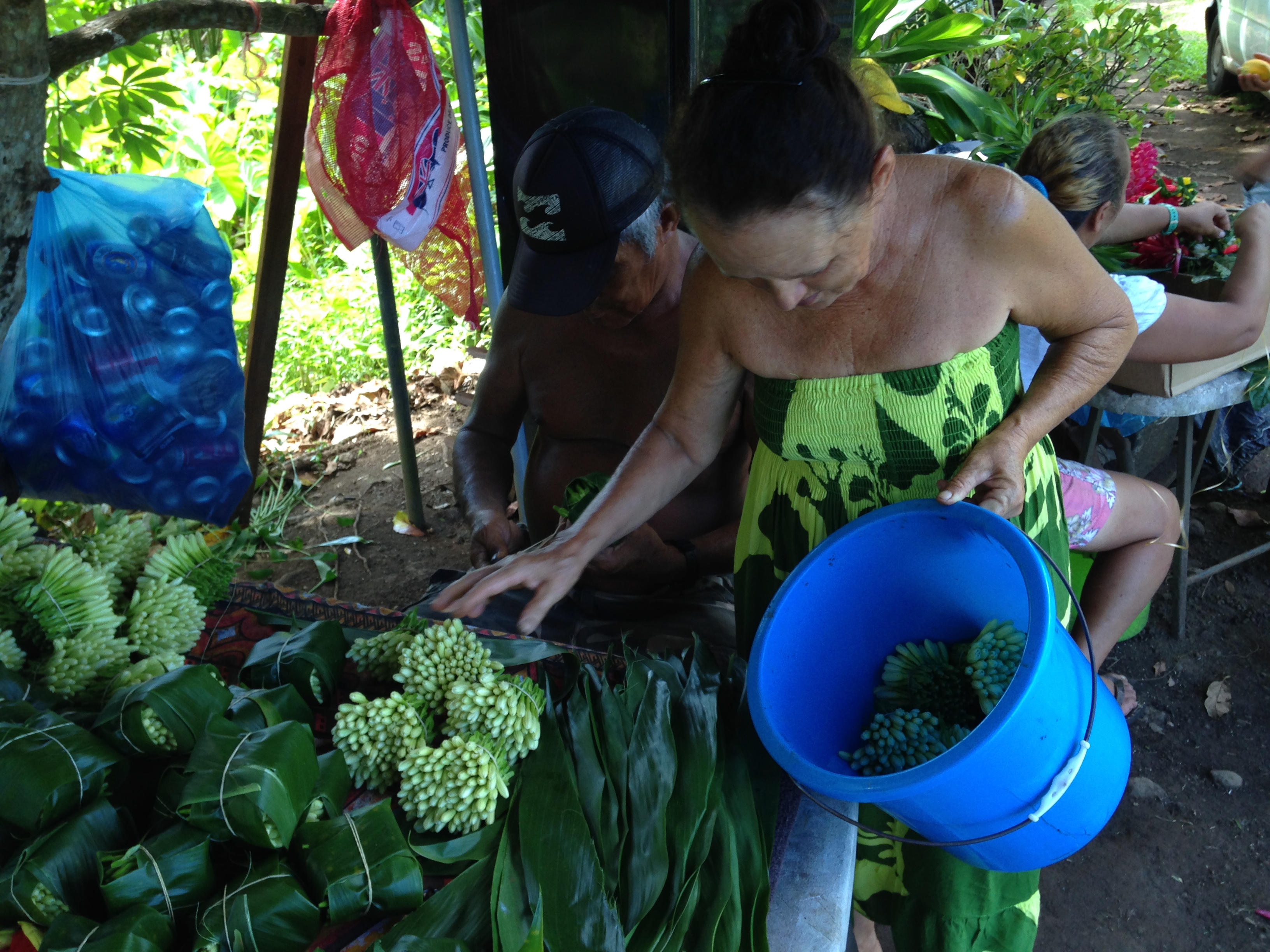 Juliette est sur le domaine du territoire depuis 2005. Elle a en sa possession, 1 500 pieds de Tiare Tahiti