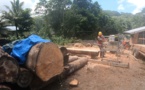 Les jeunes s'initient à la scie à Huahine