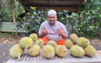 Les durians sont de retour à Papeari