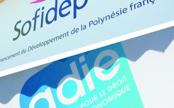 Aides à la création d'entreprise : l'ADIE et la SOFIDEP deux moteurs essentiels