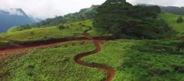 Une descente spectaculaire en VTT filmée par un drone à Punaauia