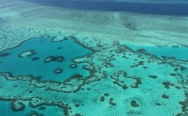 Des océans "malades" du réchauffement, préviennent des scientifiques