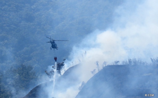 Te Maru Ata : l'incendie a dévasté trois hectares, les pompiers toujours mobilisés dimanche (Màj)