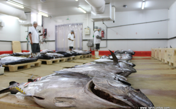 A la criée, le prix du poisson redescend