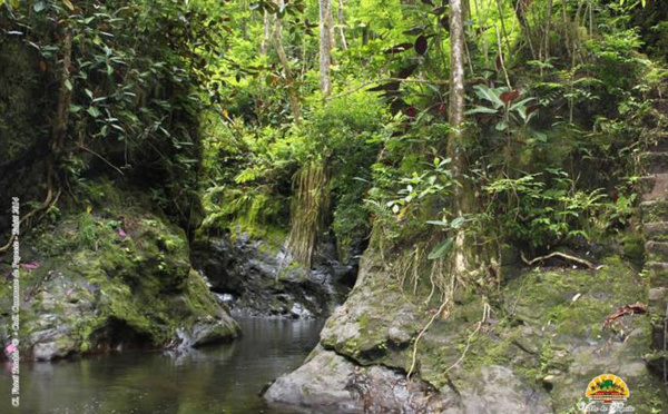 La vallée de Fautaua fermée