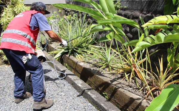 Un 3e cas de dengue 2 confirmé à Arue