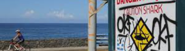 Polémique à La Réunion après la mort d'un bodyboardeur tué par un requin