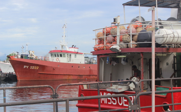 Le projet de pêche aux Marquises suscite l'interrogation des défenseurs de l'environnement