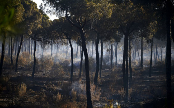 Espagne: l'incendie "contrôlé" en Andalousie
