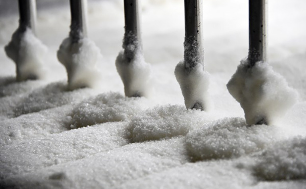 Conflit de la canne à sucre à La Réunion: les députés interpellent le gouvernement