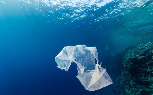 Environnement : Moins de sacs plastiques pour le fenua ?