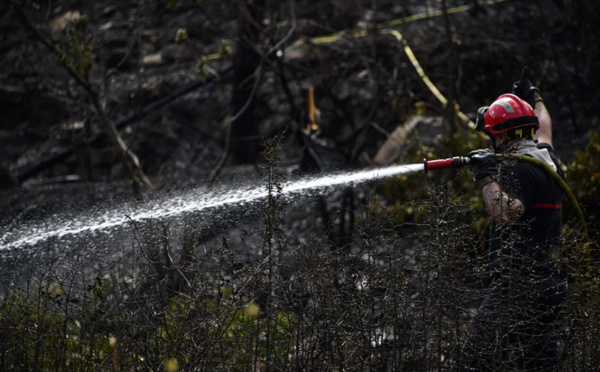 Corse-du-Sud: 150 hectares brûlés à Palneca, des sentiers de randonnée fermés