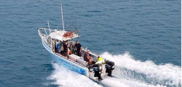 Australie: une baleine heurte un bateau et blesse des passagers