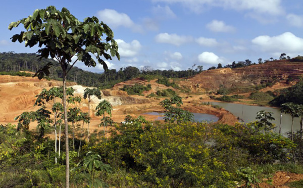Mine d'or en Guyane: France Nature Environnement réclame à nouveau un débat public