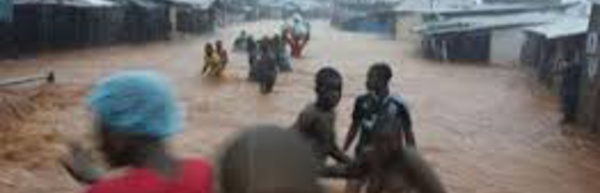 Des pluies diluviennes font plus de 300 morts en Sierra Leone