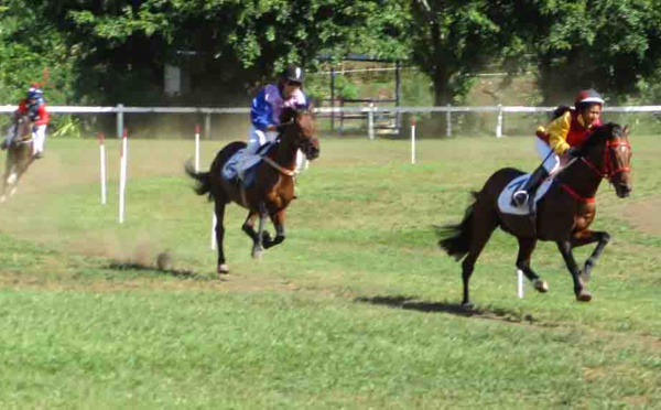 Hippodrome: Record de la piste et cagnotte pour les gagnants du jumelé