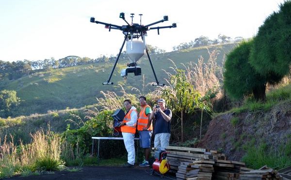 Manu attaque la petite fourmi de feu par drone