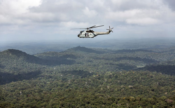 La déforestation due à l'orpaillage s'est accélérée sur le Plateau des Guyanes