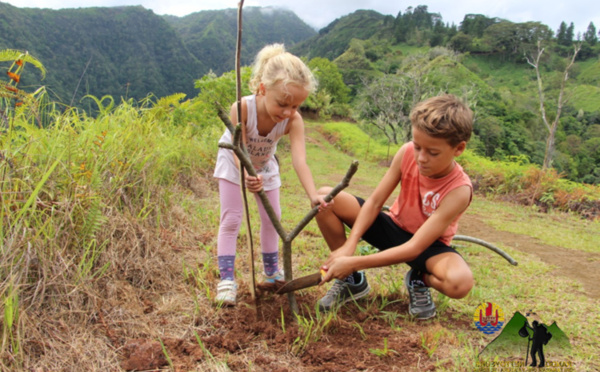 Environnement : Les Rando Nettoyeurs lancent une" rando plantation" samedi