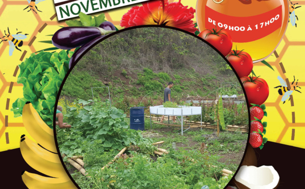 Journée portes ouvertes vendredi au jardin potager de Vaitavere