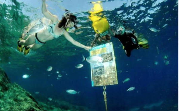 Un sentier aquatique en mars à la pointe Vénus