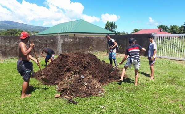 Permaculture: les élèves du lycée agricole de Moorea transmettent leur savoir faire