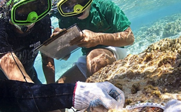 « Sauver Tuvalu, c’est sauver la planète »