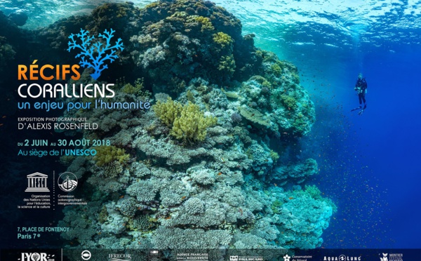 Les coraux à l'honneur au siège de l'Unesco