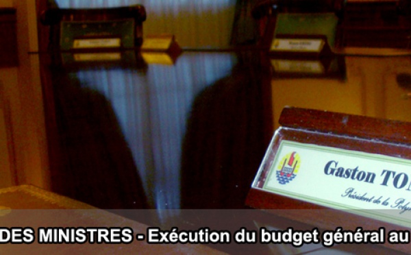 Conseil des ministres: Exécution du budget général au 30 juin 2010