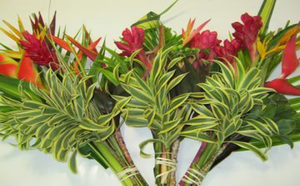 Fleurs et feuillages de Tahiti à l’export