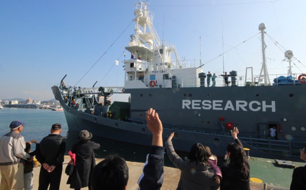Japon: 122 baleines enceintes tuées au cours de l'expédition dans l'Antarctique