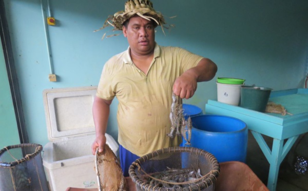 Visite à la société d’aquaculture d’Opunohu