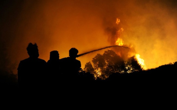 Grèce : incendies dans des zones habitées autour d'Athènes