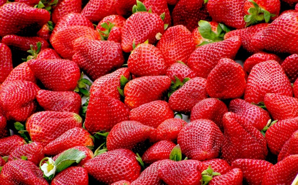 Australie: des aiguilles dans les fraises, récompense pour aider à résoudre le mystère