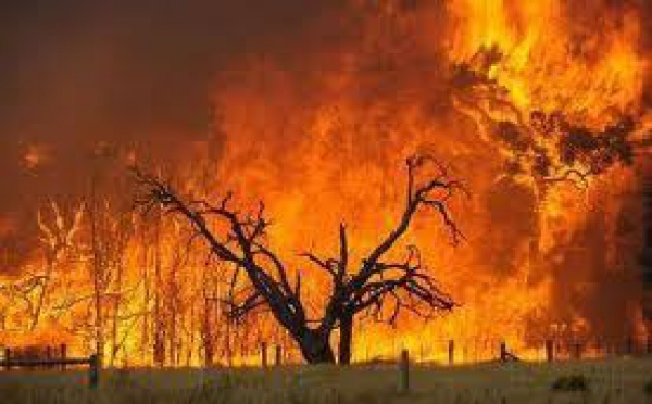 Australie: de nombreuses maisons détruites par des incendies autour de Perth
