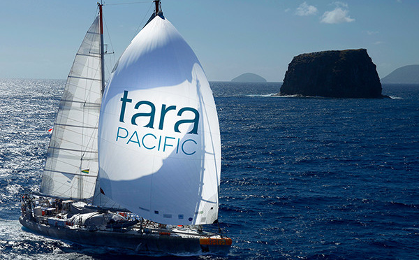 Clap de fin pour l’expédition Tara Pacific