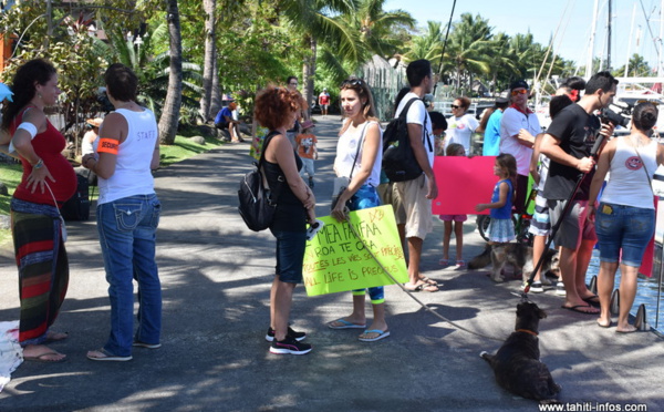 Marina de Papeete : "On ne peut accepter les conditions de détention de ces poissons"