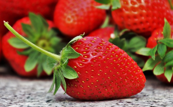 Mystère des fraises piégées: une aiguille découverte dans un fruit en Nouvelle-Zélande