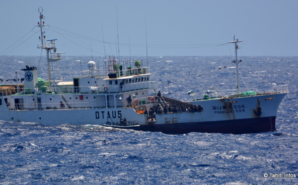 A la chasse aux pêcheurs illégaux à bord d'un bateau de guerre