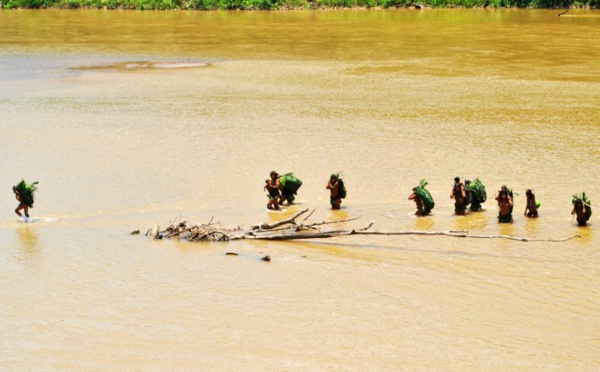 En Amazonie, les peuples autochtones isolés toujours plus menacés