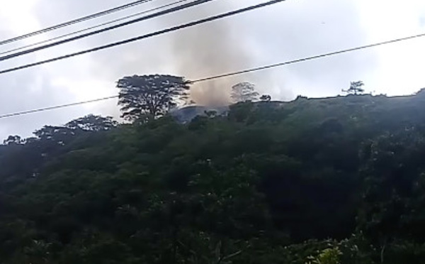 Un incendie de végétation maîtrisé sur les hauteurs de Arue (MàJ)