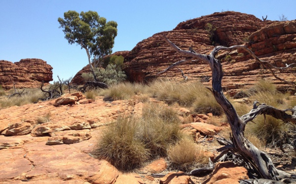 Australie: découverte du corps d'une touriste allemande portée disparue